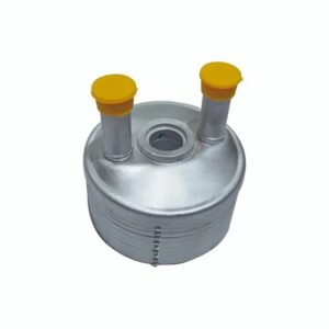 Radiador Trocador Calor Cambio 09g Jetta 2.5 Passat 2.0 Golf Audi TT 1.8