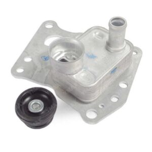 Trocador Calor Motor Mercedes C180 C200 C250 Turbo 2010 A 15