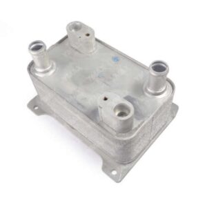 Radiador De Óleo Câmbio Vw Passat 2.0 Fsi 2005 A 2010